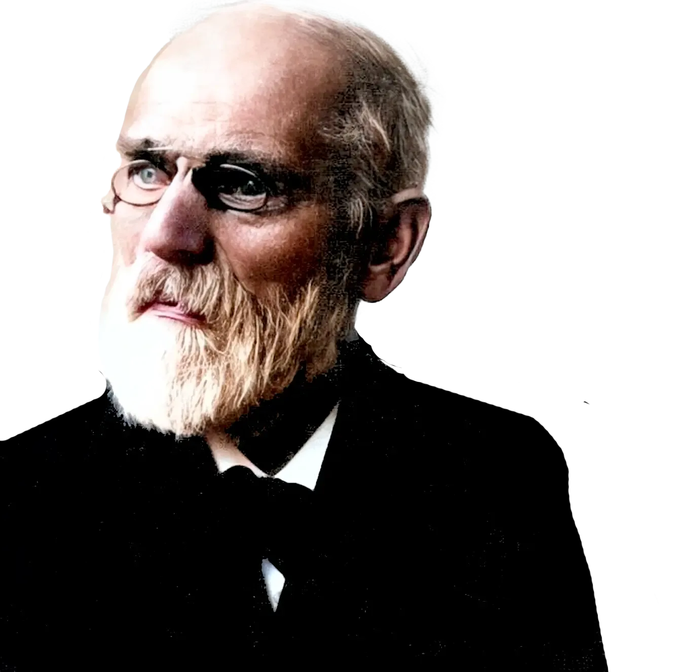 Johannes Diderik van der Waals