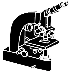 Biology & Life Sciences
